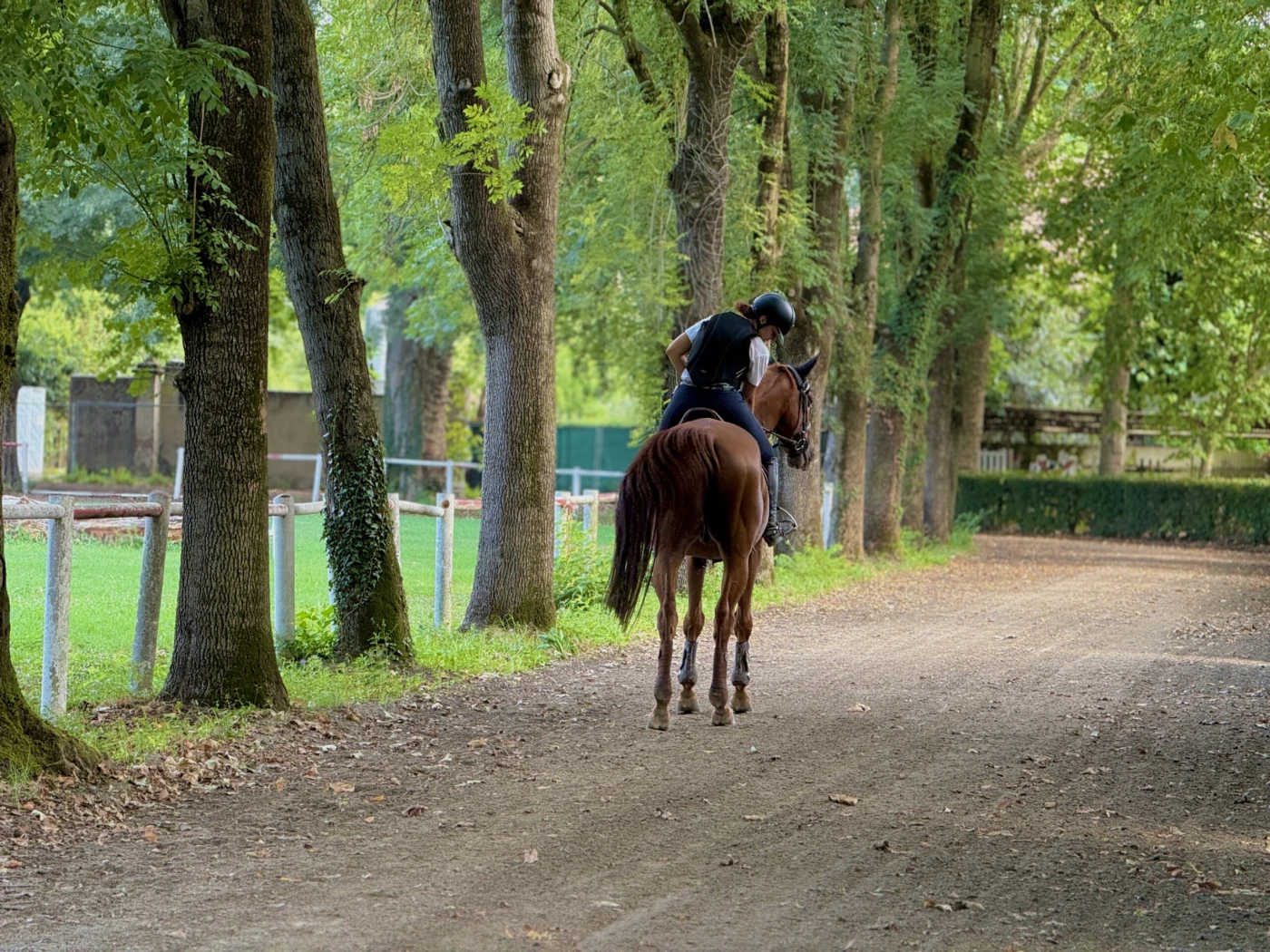 IMG_0769