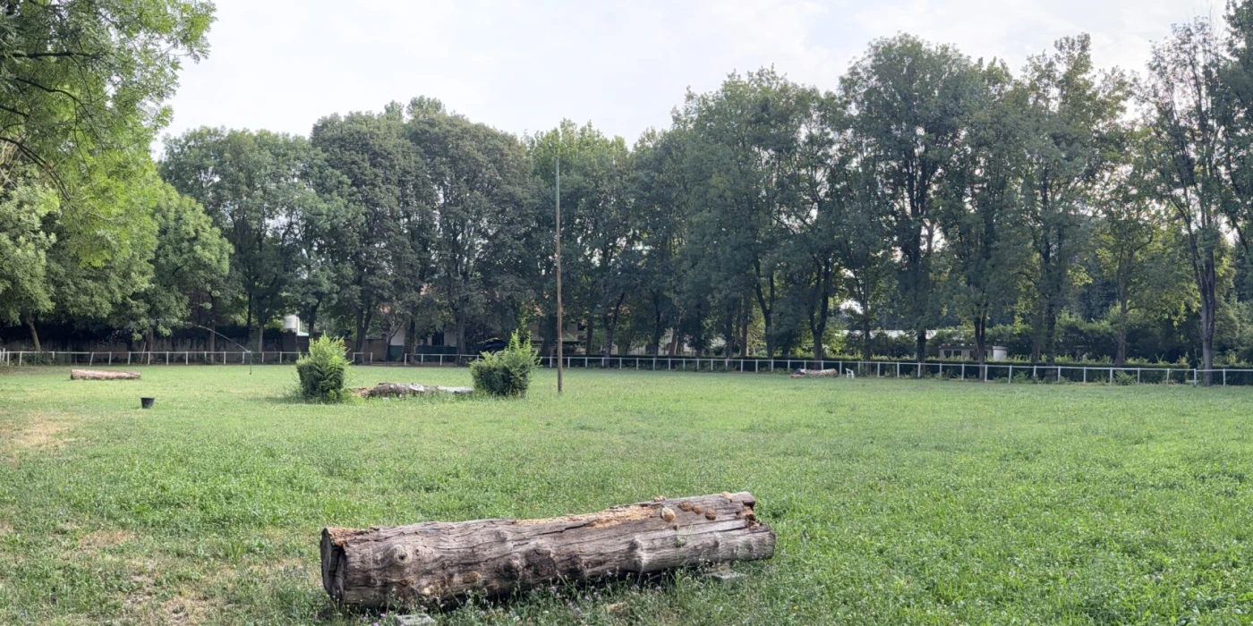 Campo in erba Castelbarco 110x80mt