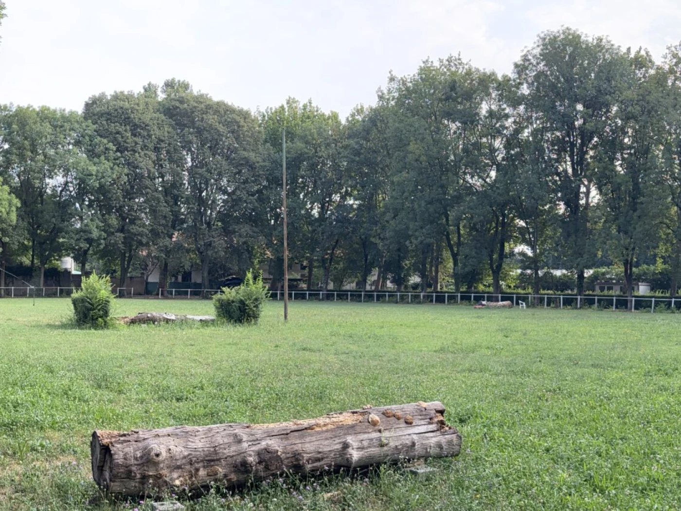 Campo in erba Castelbarco 110x80mt