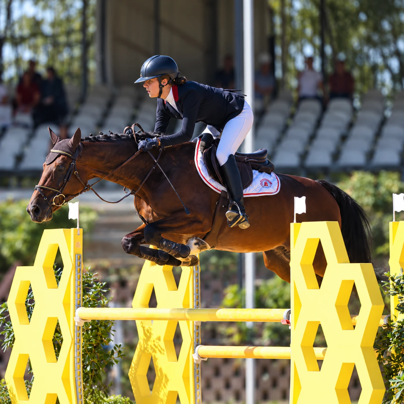 Salto equestre sulla barriera gialla (1)